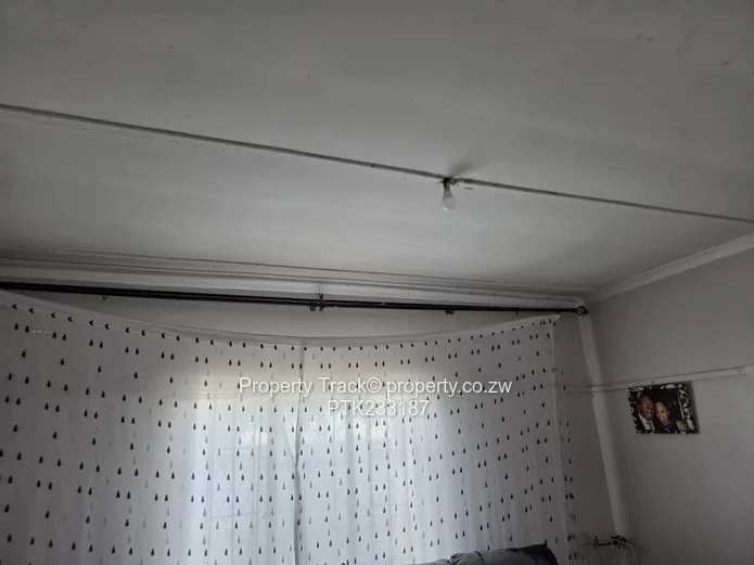 A neat and solid house! (Sole Mandate)