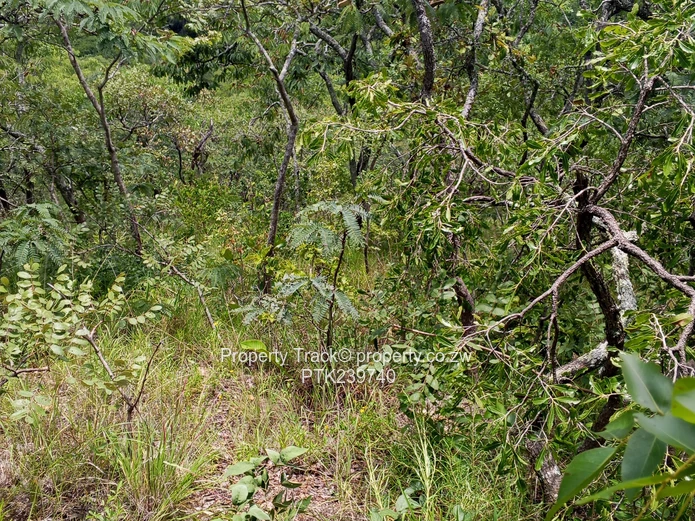 Excellently Positioned! (Sole Mandate)