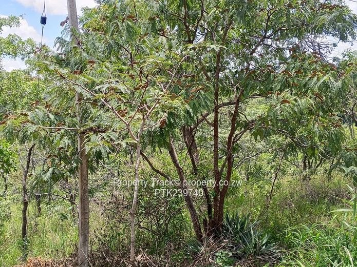 Excellently Positioned! (Sole Mandate)