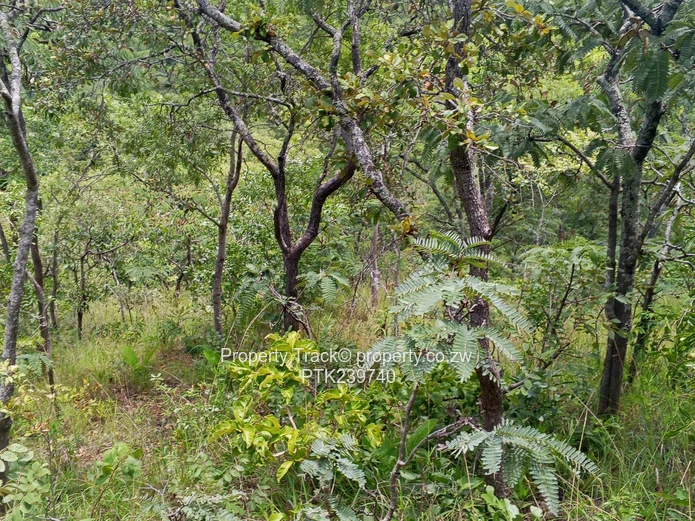 Excellently Positioned! (Sole Mandate)