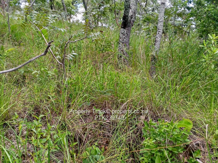 Excellently Positioned! (Sole Mandate)