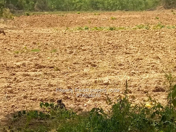 Agro-residential plot !! (Sole Mandate)