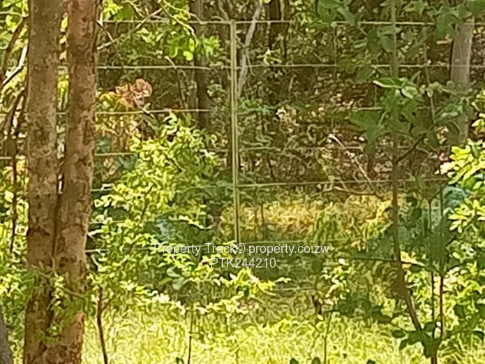 Agro-residential plot !! (Sole Mandate)