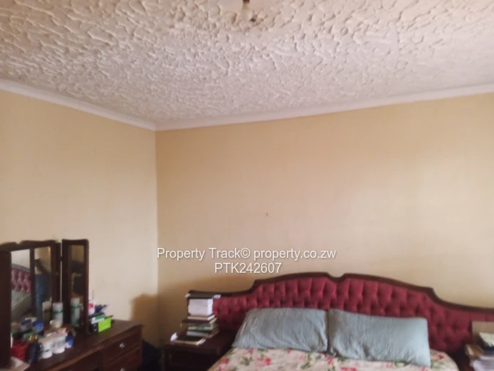 A neat and solid house!