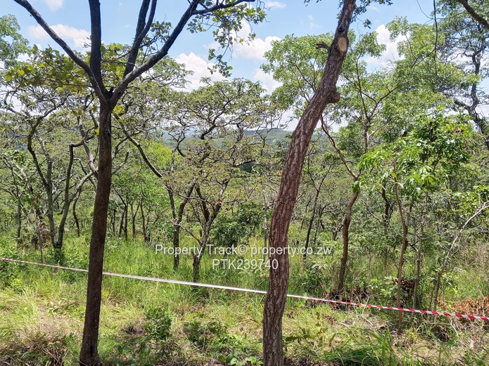 Excellently Positioned! (Sole Mandate)