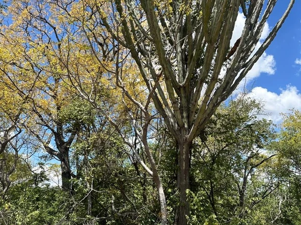 Farm & Agricultural Land