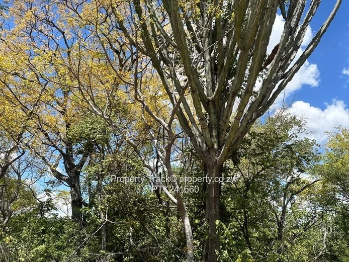 Agro-residential plot! (Sole Mandate)