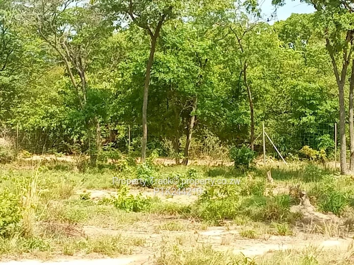 Agro-residential plot !! (Sole Mandate)