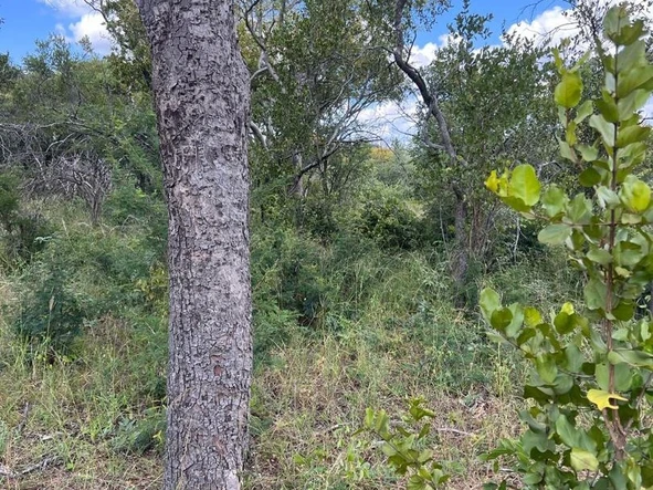 Farm & Agricultural Land