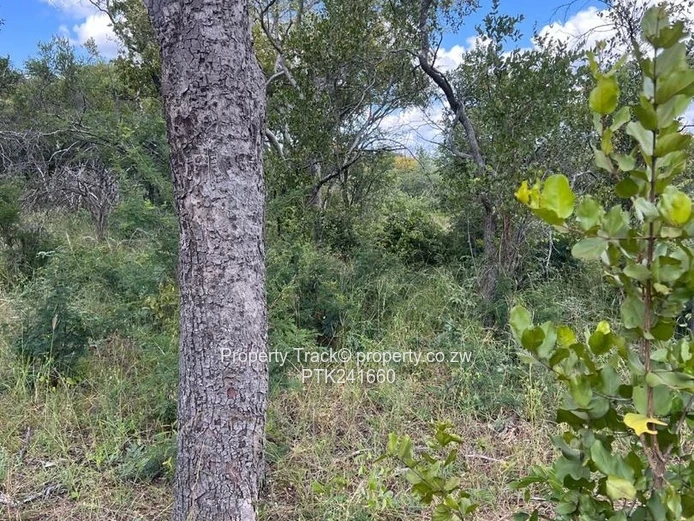 Agro-residential plot! (Sole Mandate)