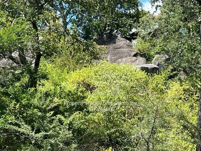 Agro-residential plot! (Sole Mandate)