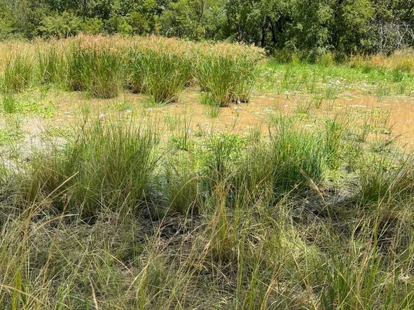 Farm & Agricultural Land