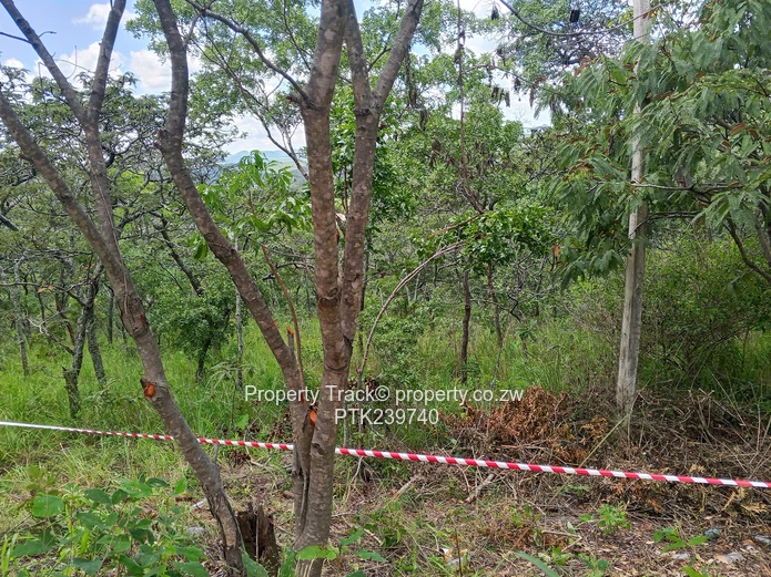 Excellently Positioned! (Sole Mandate)