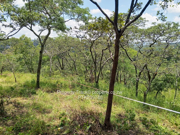 Excellently Positioned! (Sole Mandate)