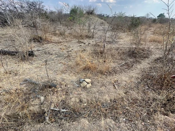 Farm & Agricultural Land