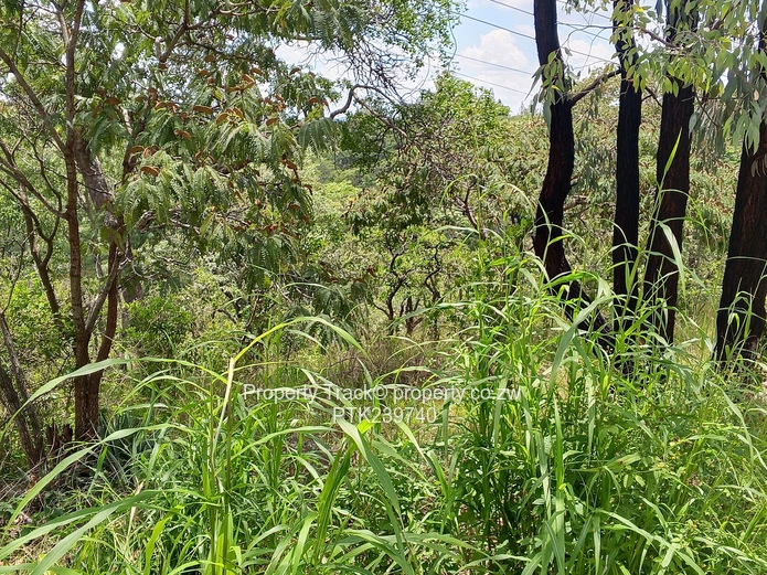 Excellently Positioned! (Sole Mandate)