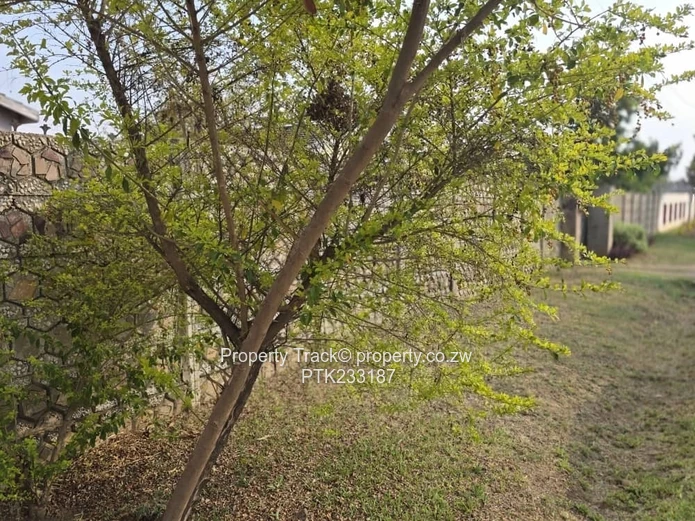 A neat and solid house! (Sole Mandate)