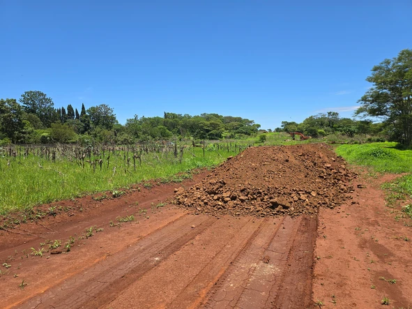 Stands & Residential Land
